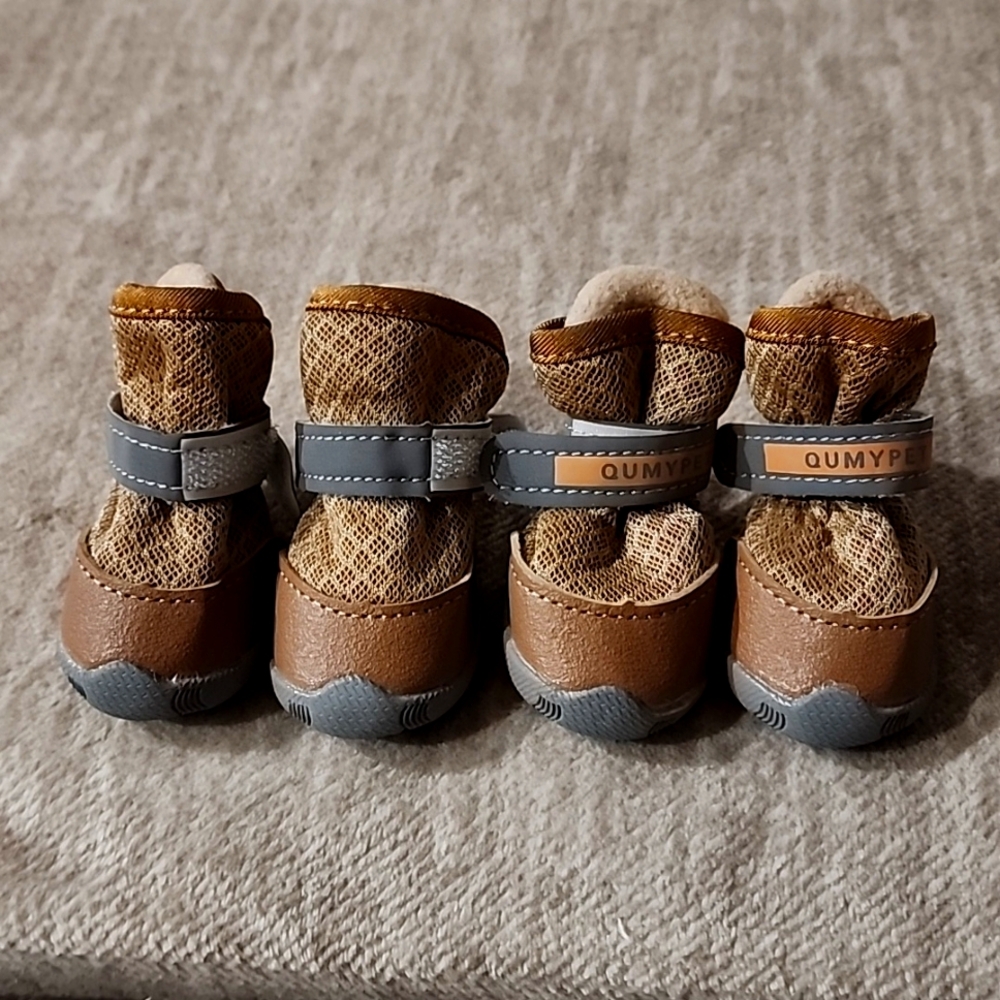 Pet Shoes